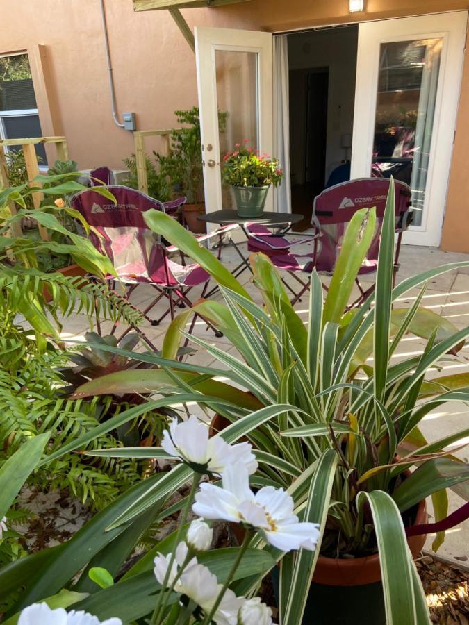 Mermaid'S Cottage West Palm Beach Zewnętrze zdjęcie